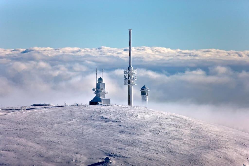 Sieben Tannen Titisee + Hochschwarzwald Card Διαμέρισμα Εξωτερικό φωτογραφία