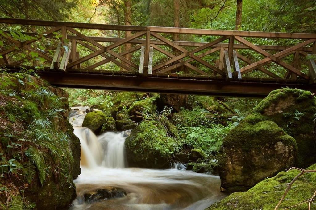 Sieben Tannen Titisee + Hochschwarzwald Card Διαμέρισμα Εξωτερικό φωτογραφία