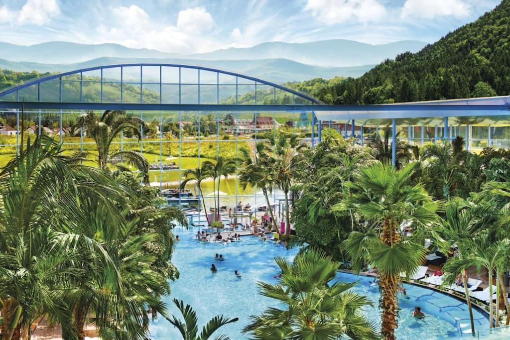 Sieben Tannen Titisee + Hochschwarzwald Card Διαμέρισμα Εξωτερικό φωτογραφία