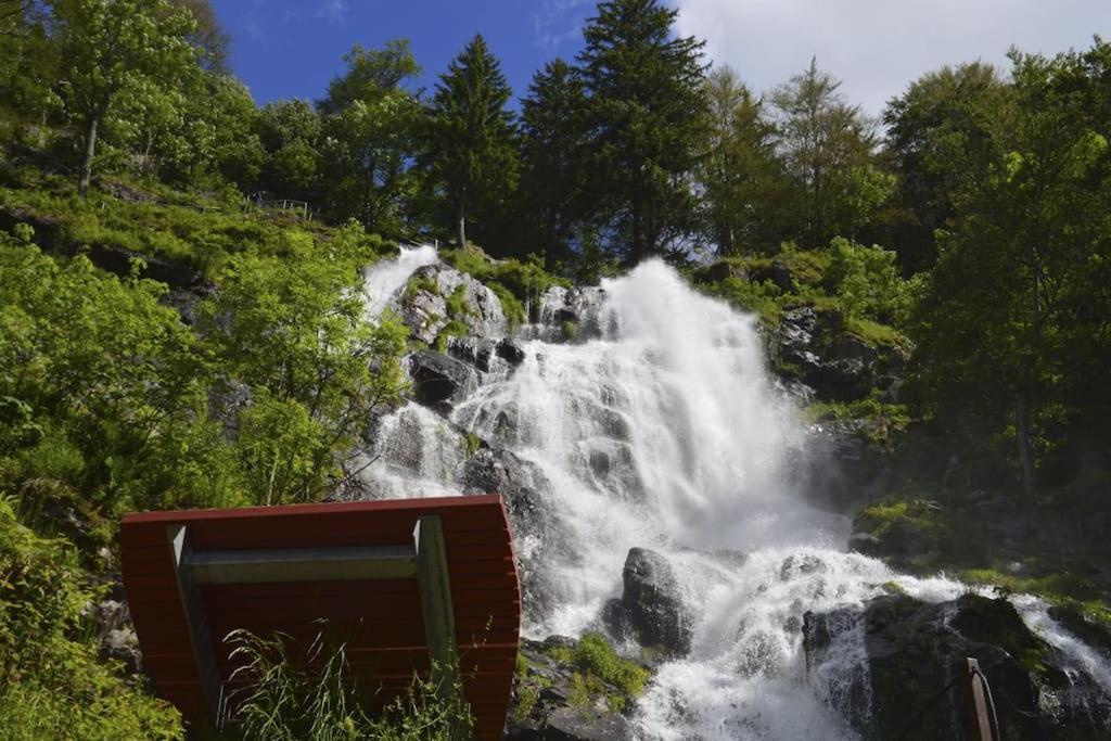 Sieben Tannen Titisee + Hochschwarzwald Card Διαμέρισμα Εξωτερικό φωτογραφία