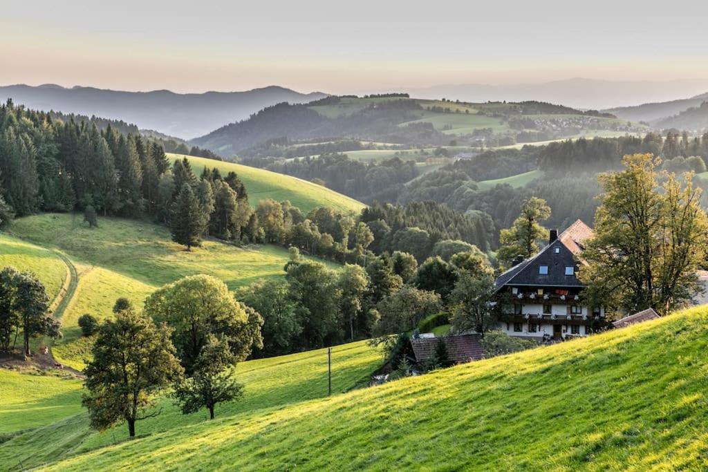 Sieben Tannen Titisee + Hochschwarzwald Card Διαμέρισμα Εξωτερικό φωτογραφία