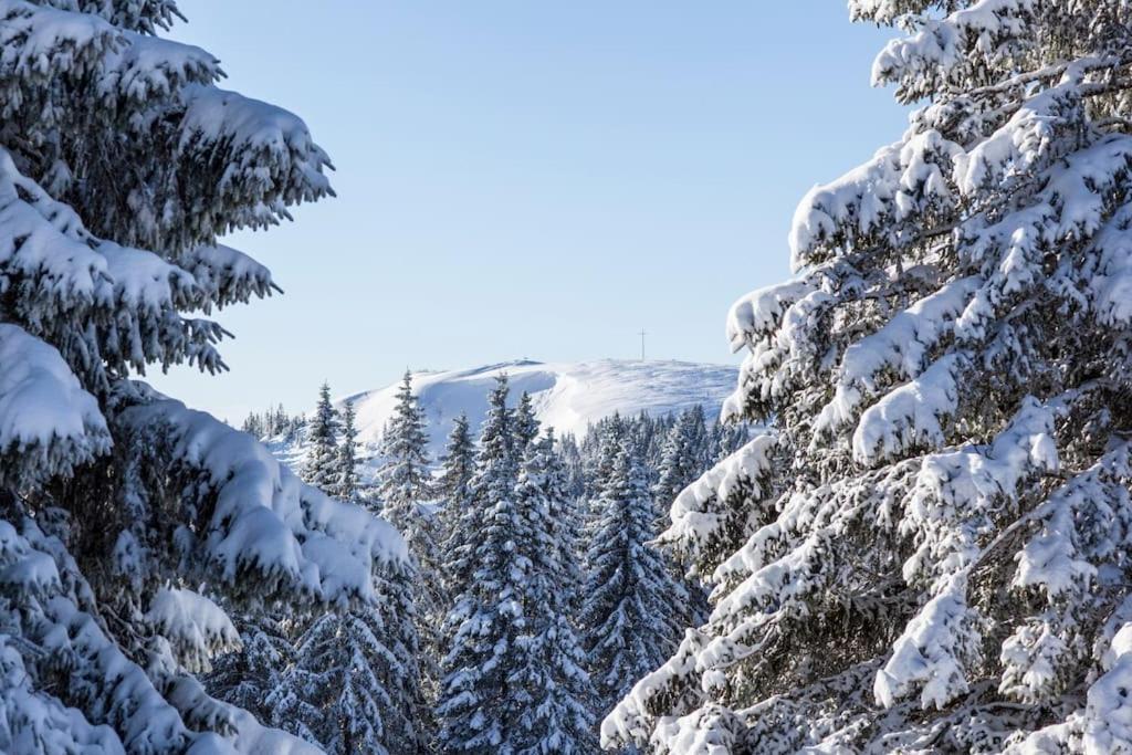 Sieben Tannen Titisee + Hochschwarzwald Card Διαμέρισμα Εξωτερικό φωτογραφία