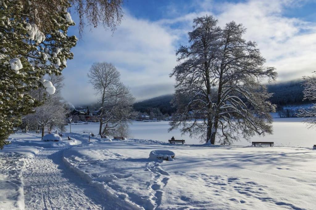 Sieben Tannen Titisee + Hochschwarzwald Card Διαμέρισμα Εξωτερικό φωτογραφία