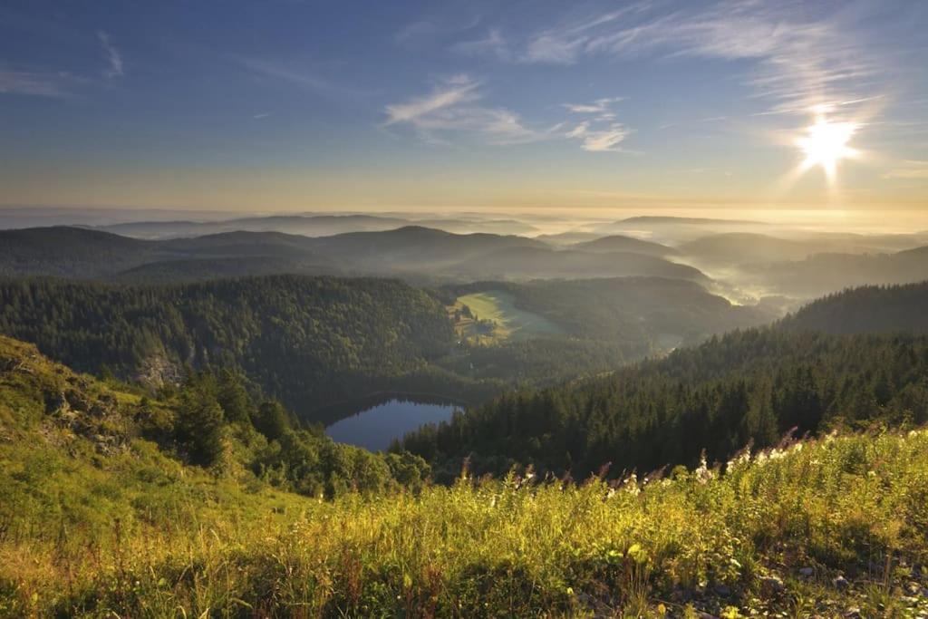 Sieben Tannen Titisee + Hochschwarzwald Card Διαμέρισμα Εξωτερικό φωτογραφία